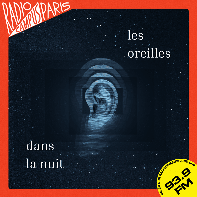 LES OREILLES DANS LA NUIT