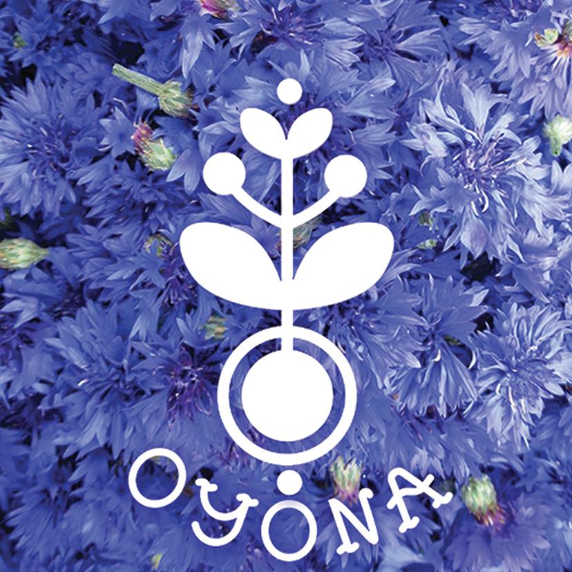LES CAPSULES D’OYONA => Le lierre terrestre