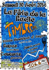 Affiche fête des timbrés 2014 moy